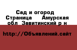  Сад и огород - Страница 2 . Амурская обл.,Завитинский р-н